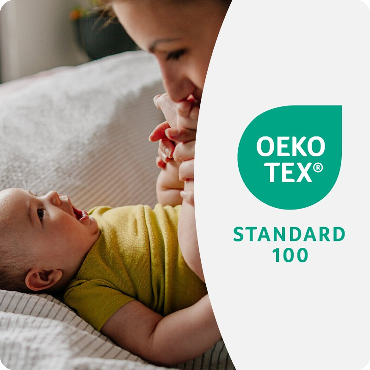 Standard 100