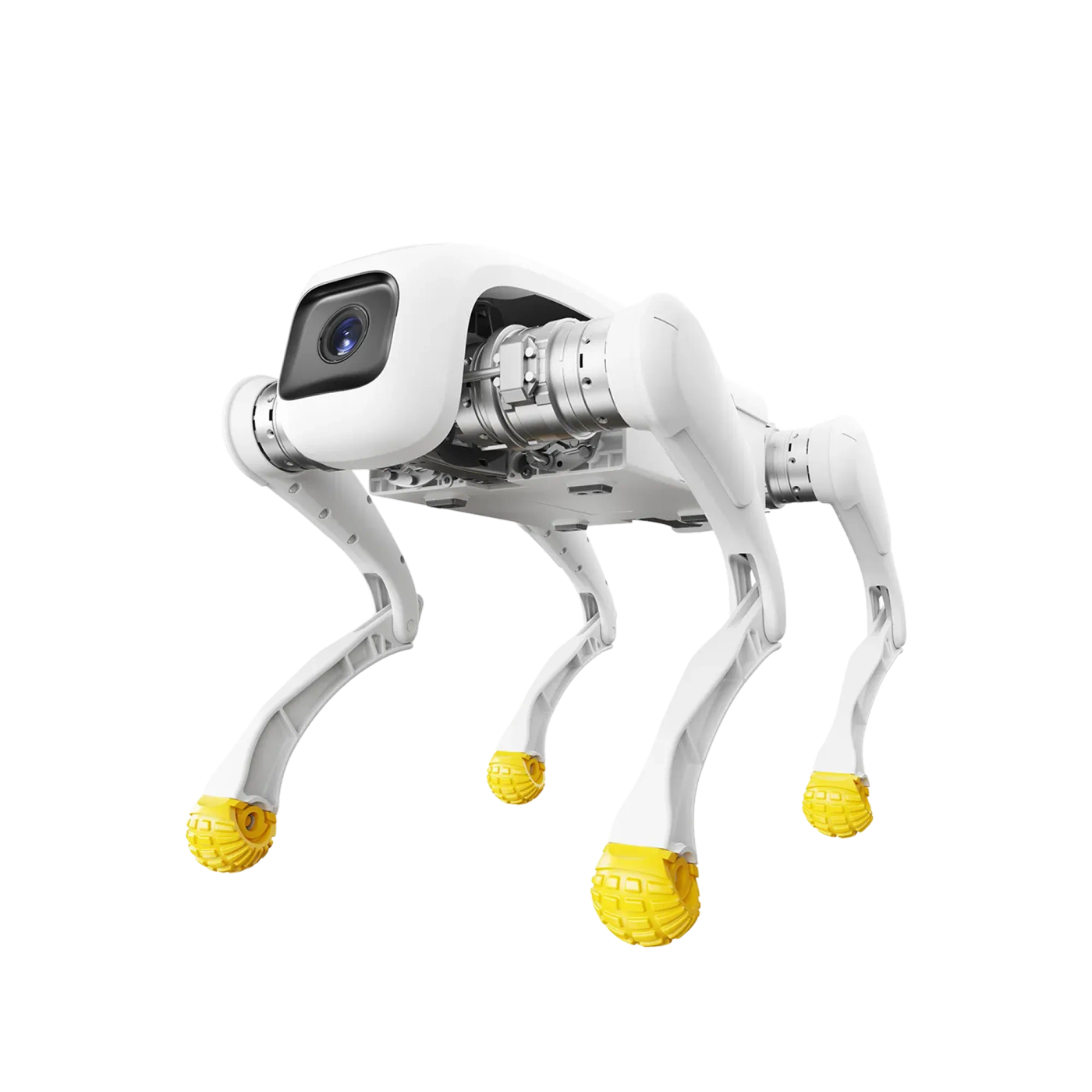 AgiBot D1 — фото робота