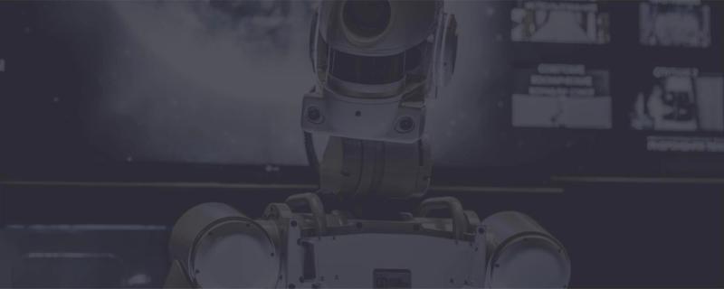 FEDOR / Skybot F-850