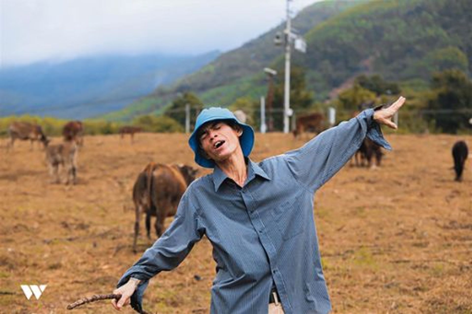 Picture of Sô Y Tiết