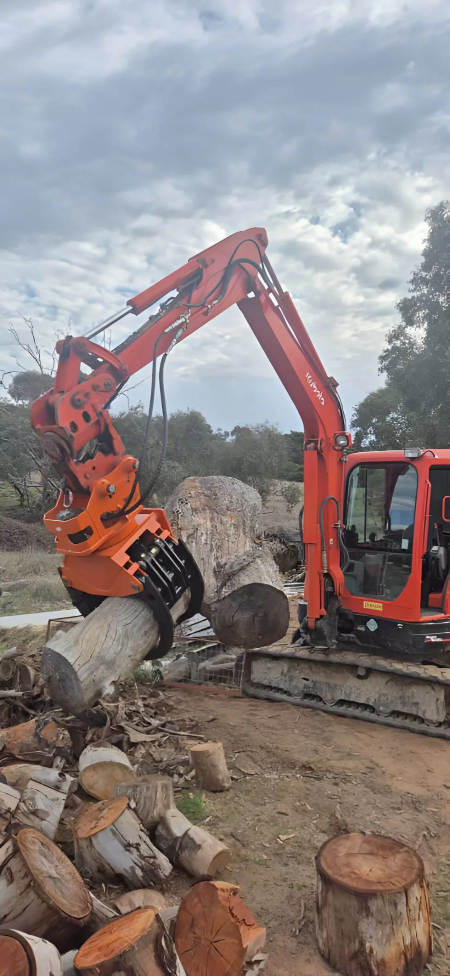 Log Grab Series - Gallery Image 2