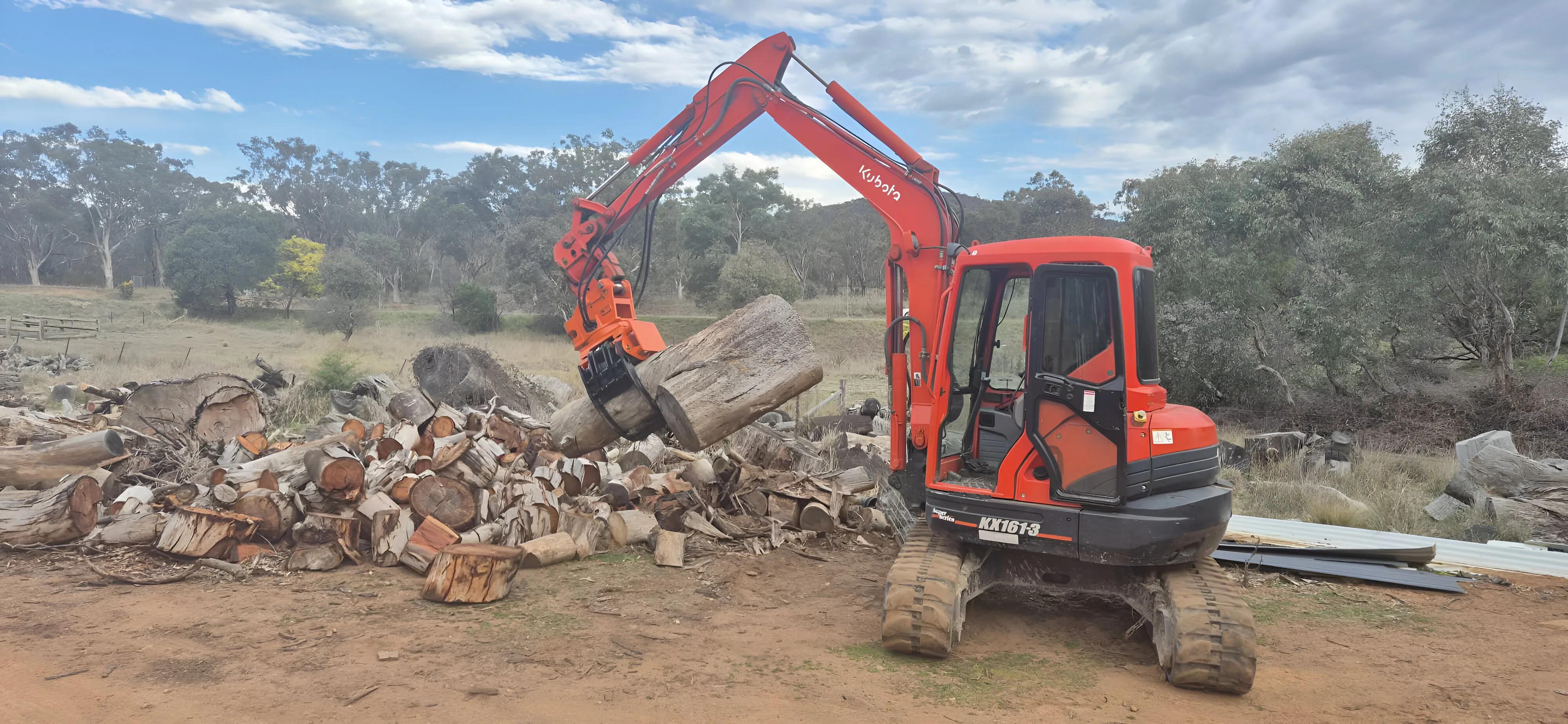 Log Grab Series - Gallery Image 1