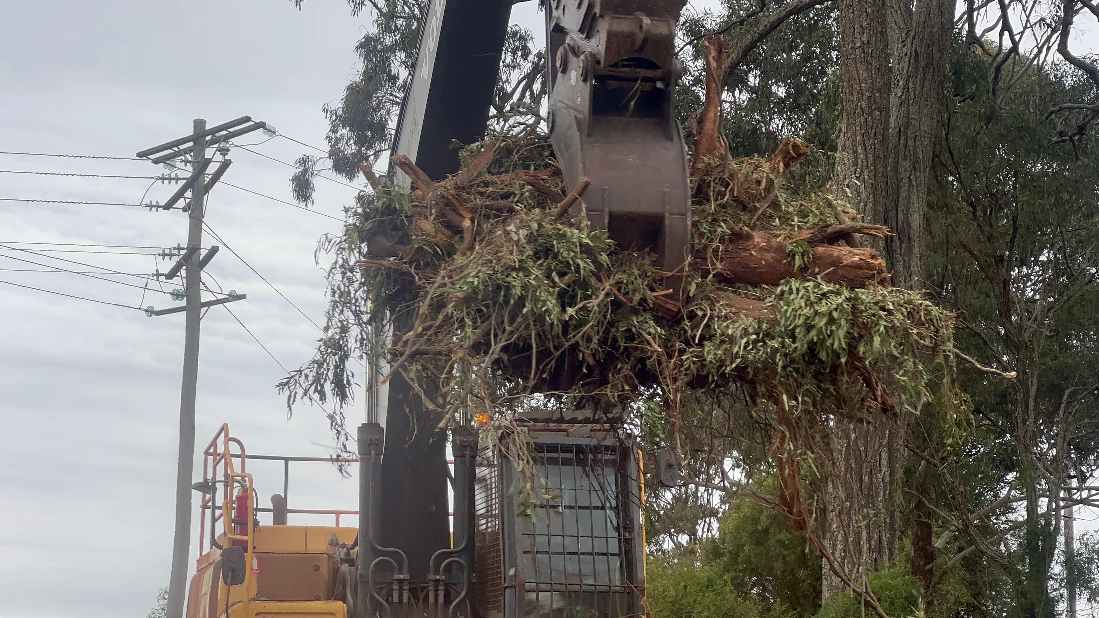 Mechanical Grab - Gallery Image 3