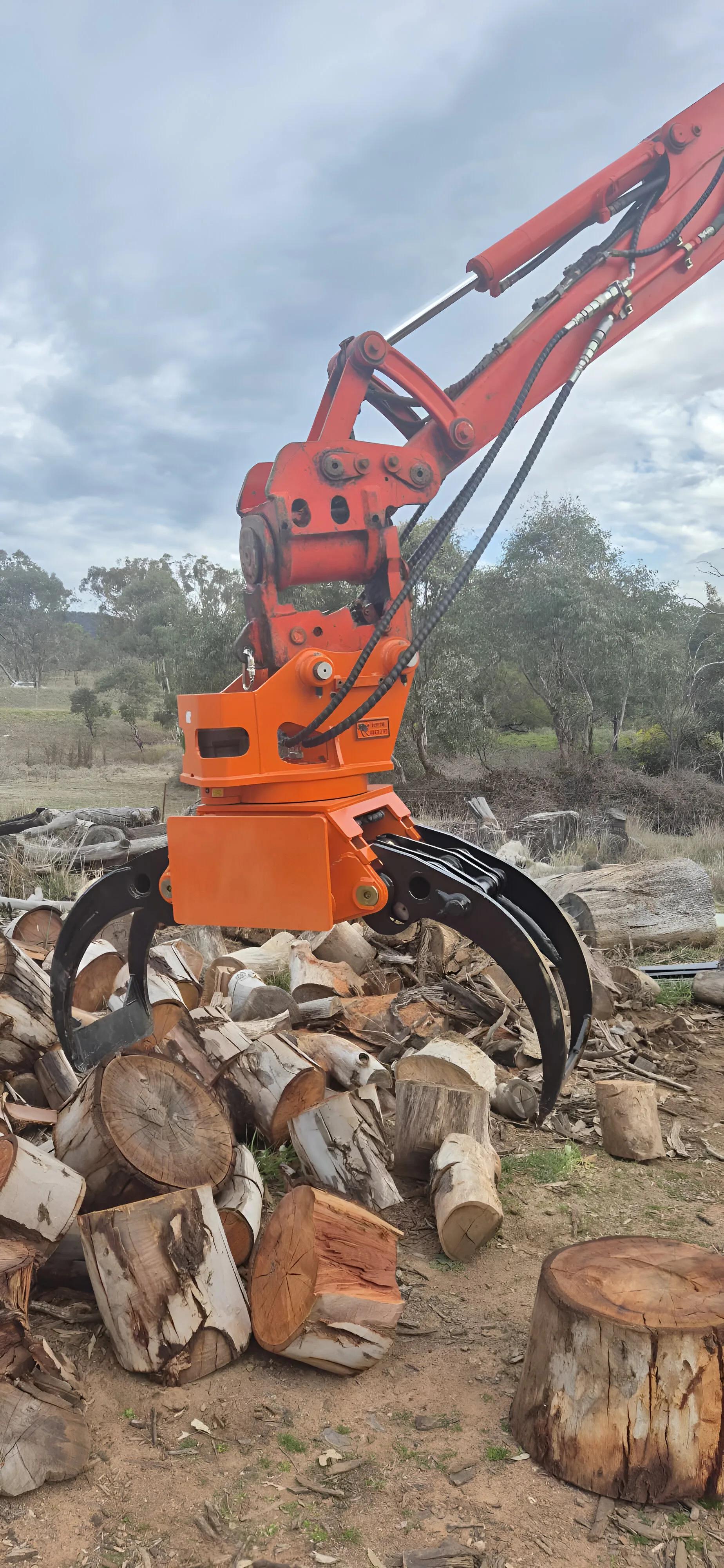 Log Grab Series - Gallery Image 3