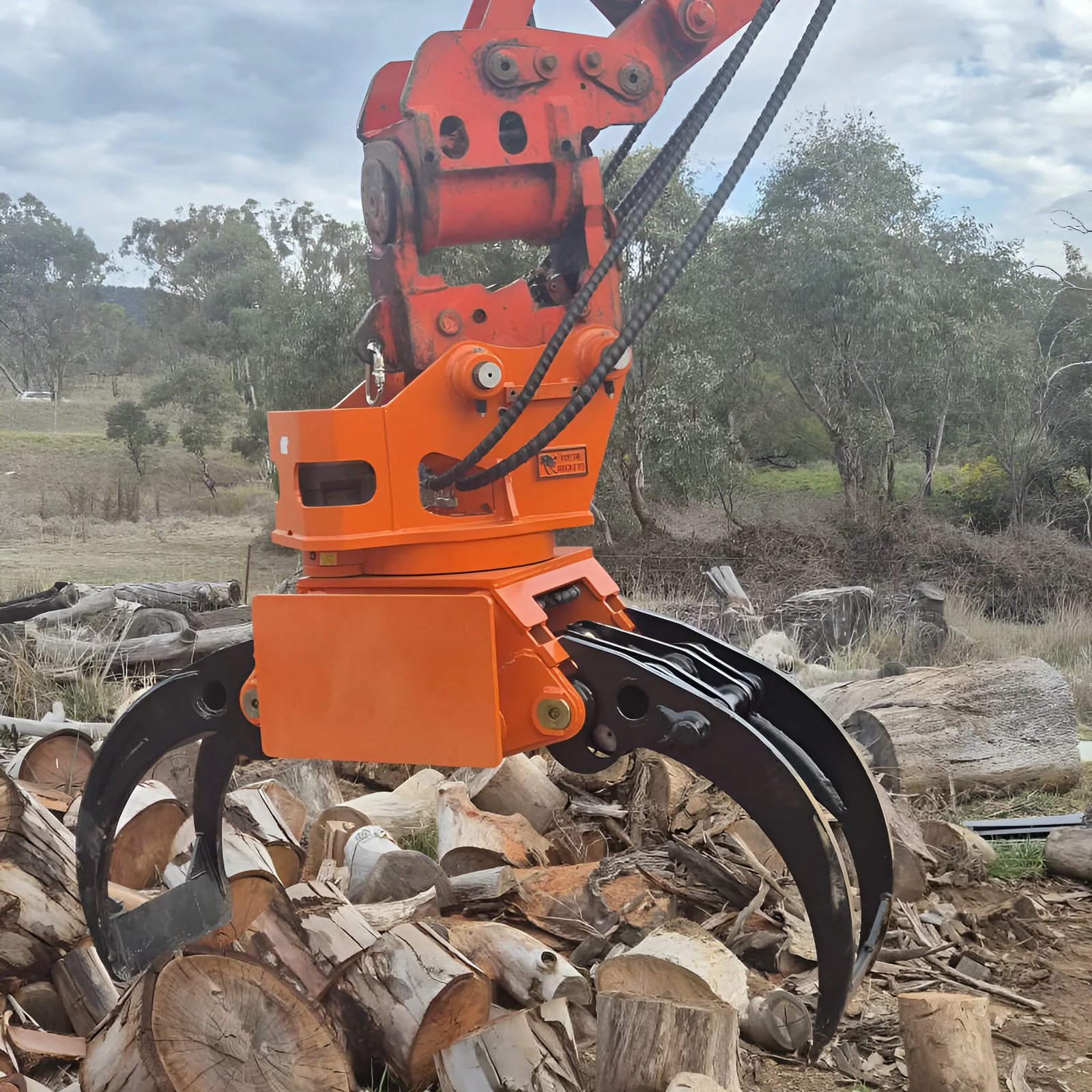 Log Grab Series - Gallery Image 3