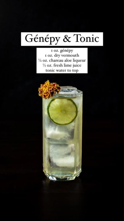 Génépy & Tonic