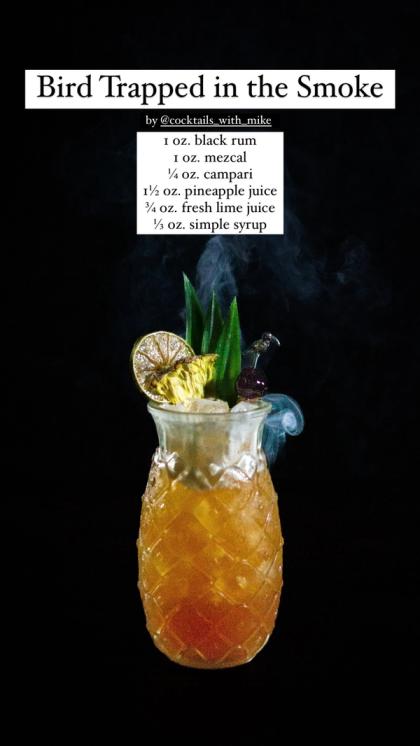 Bird Trapped in the Smoke