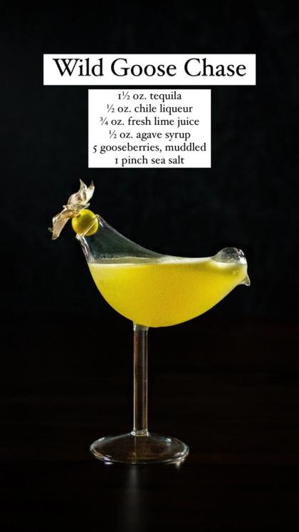 Wild Goose Chase