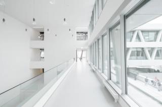 Center for Technology and Design Center for Technology and Design