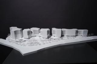 Our Viennese Chameleon in Vienna's Eichenstrae! Our Viennese Chameleon in Vienna's Eichenstrae!