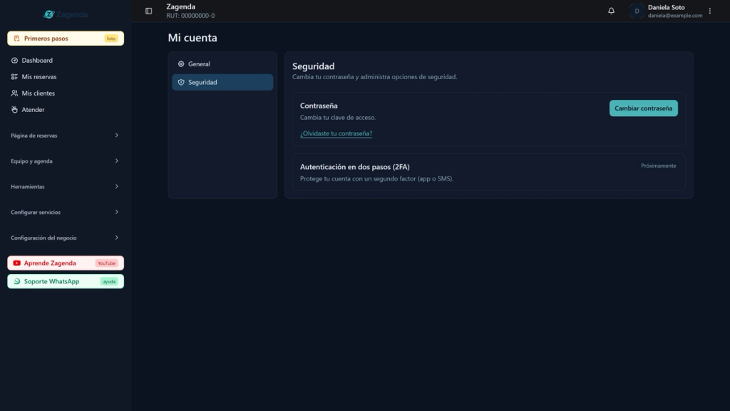 Sección Seguridad de Mi cuenta con la tarjeta Contraseña destacada, que incluye el botón Cambiar contraseña y el enlace ¿Olvidaste tu contraseña?
