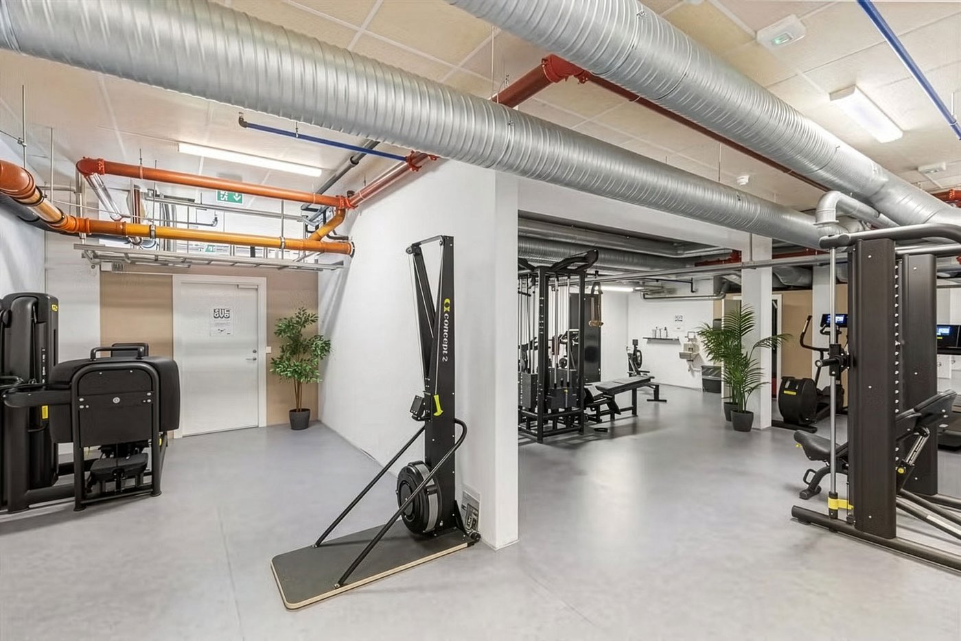 A full-fledged gym in the garage