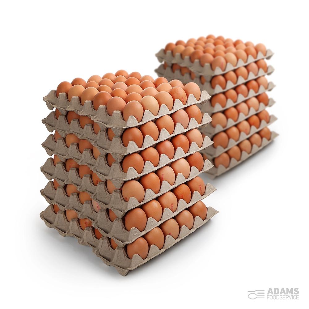 Fresh Eggs 12x30