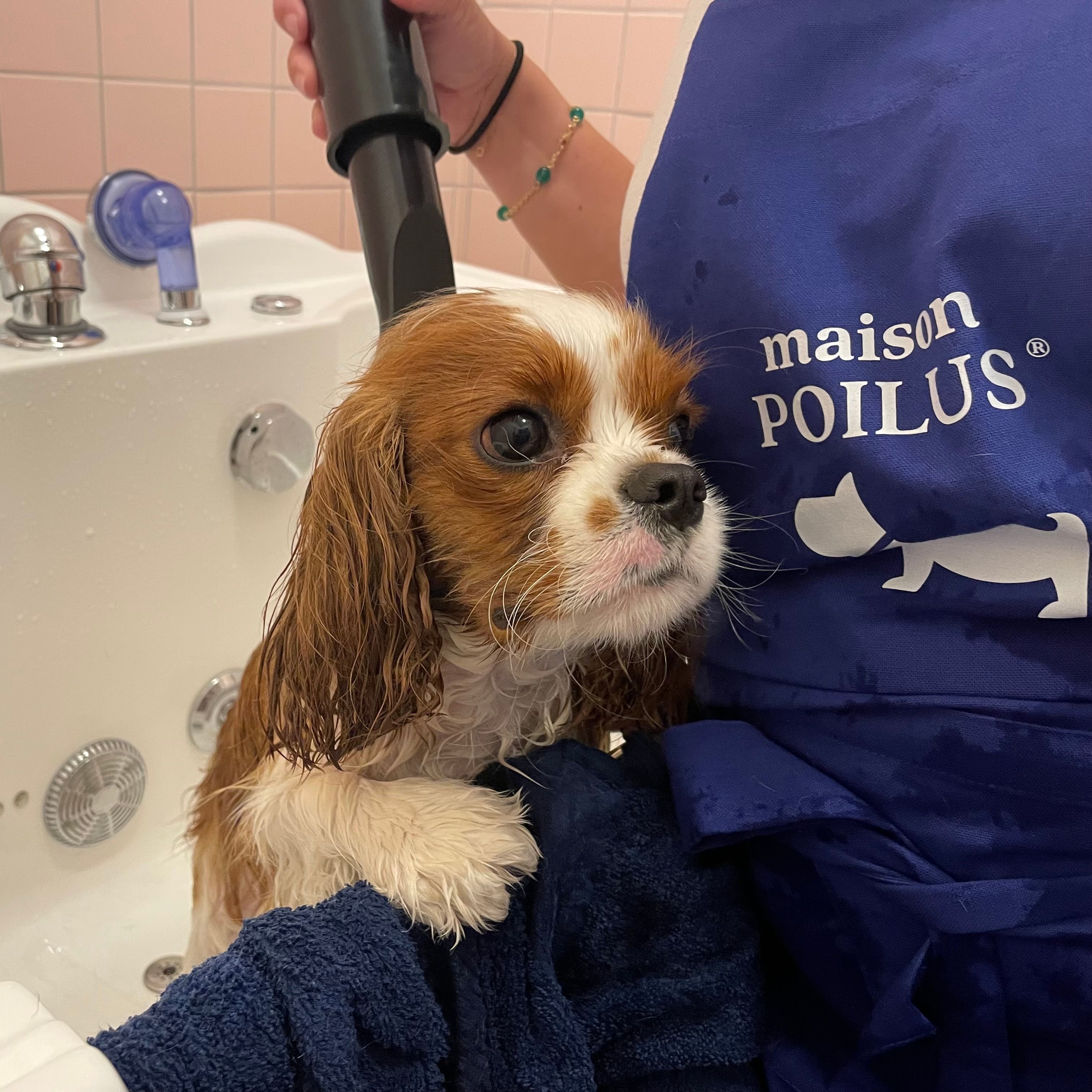 Le spa maison POILUS®