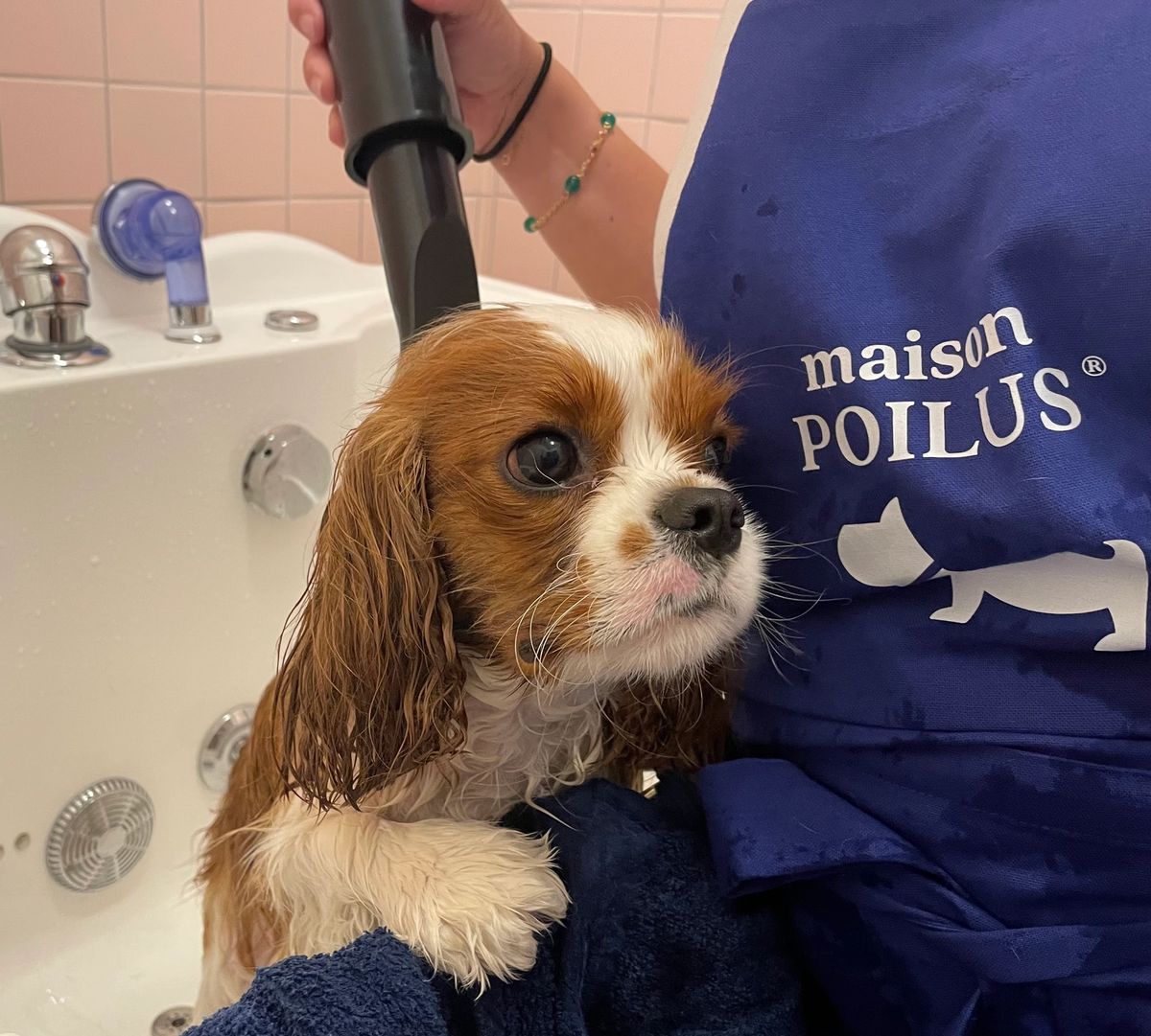 Le spa maison POILUS®