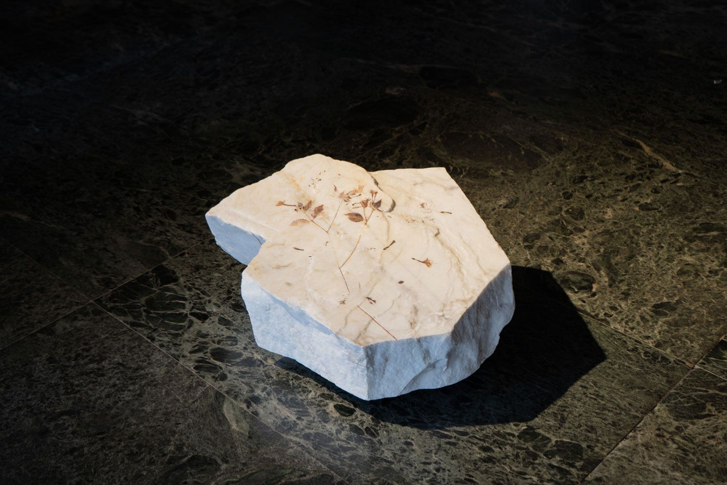 Damnatio Memoriae