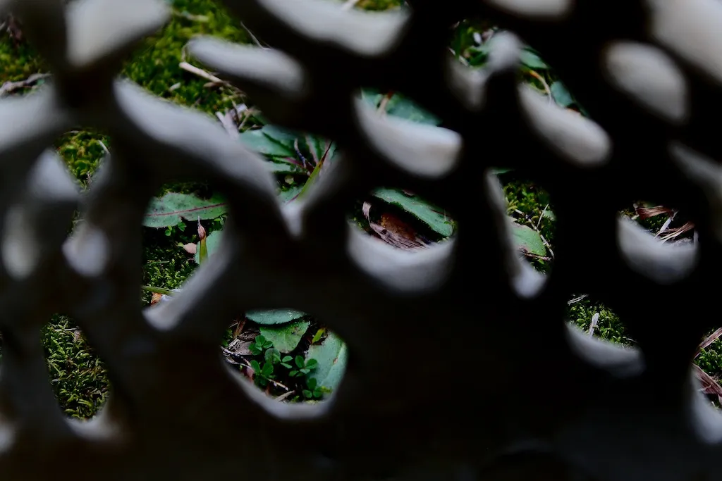 From the ground up - Insect for a moment