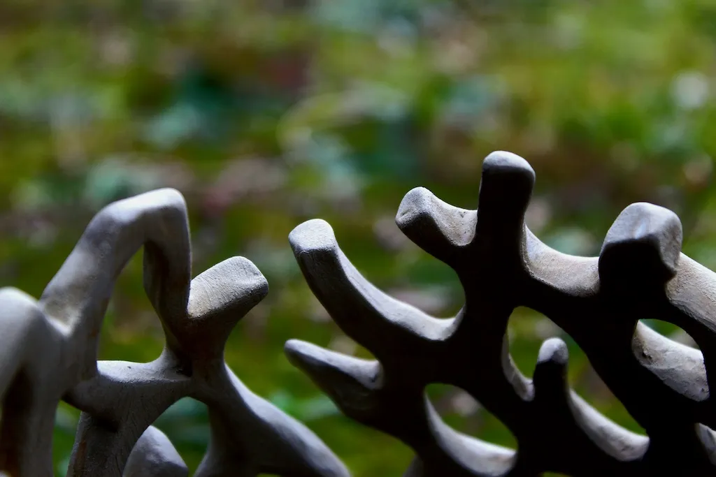 From the ground up - Insect for a moment