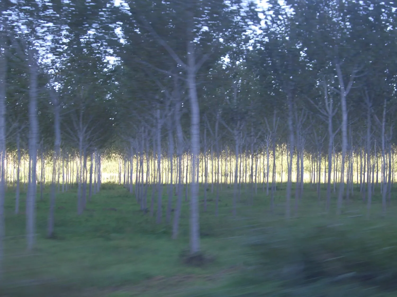 Paesaggi