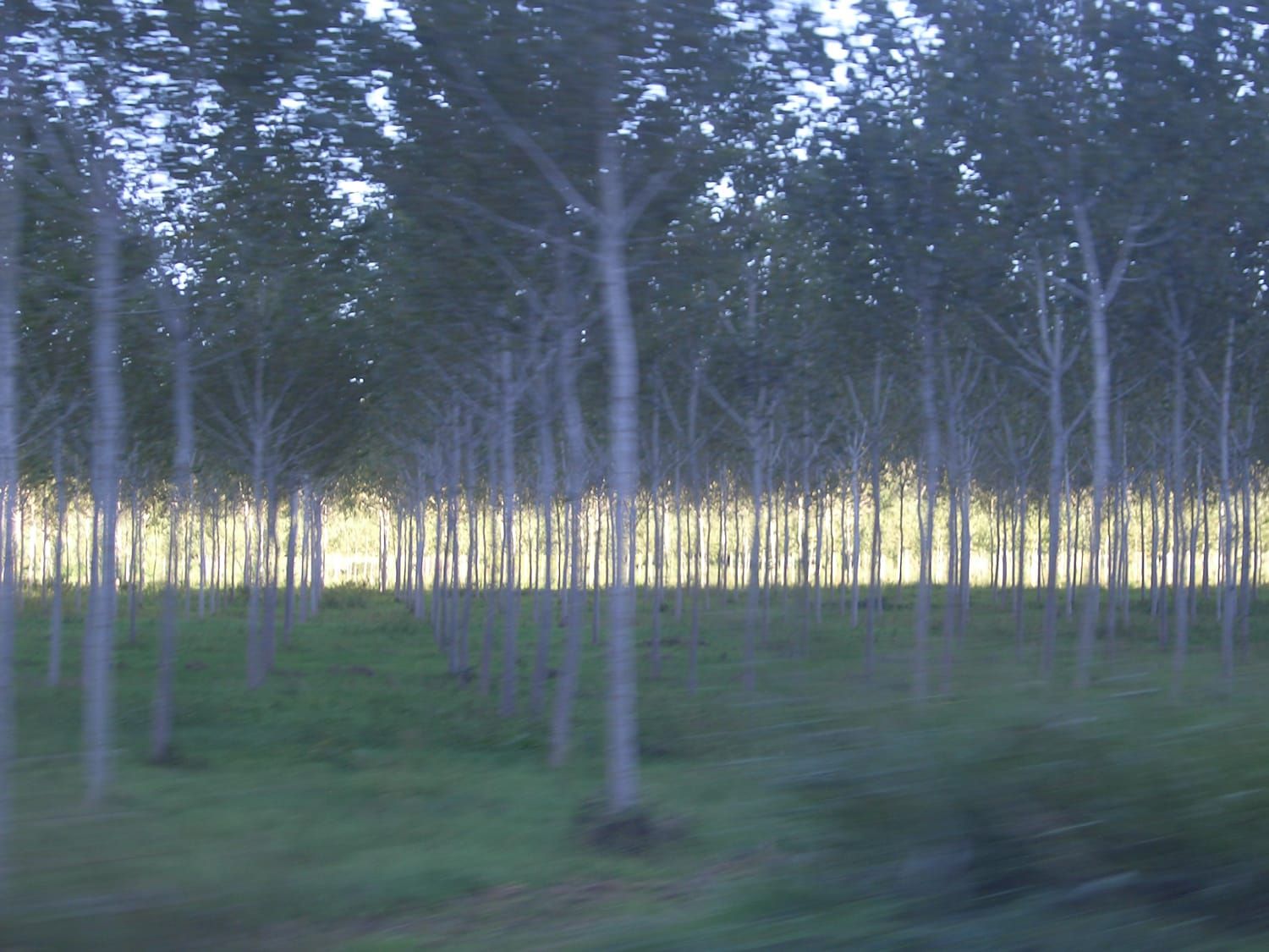 Paesaggi
