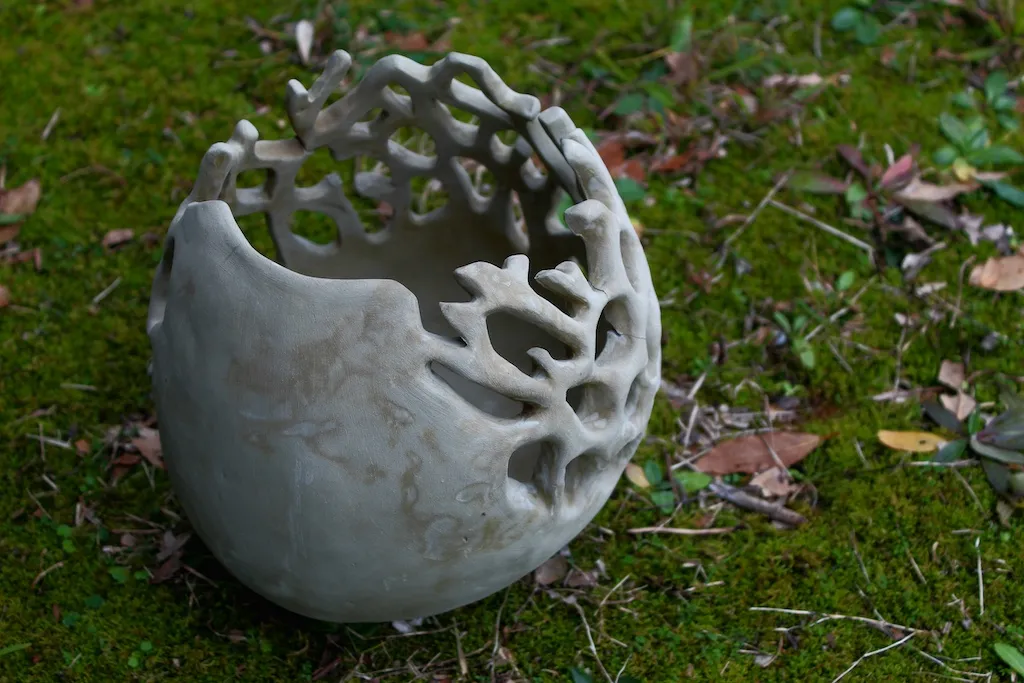 From the ground up - Insect for a moment