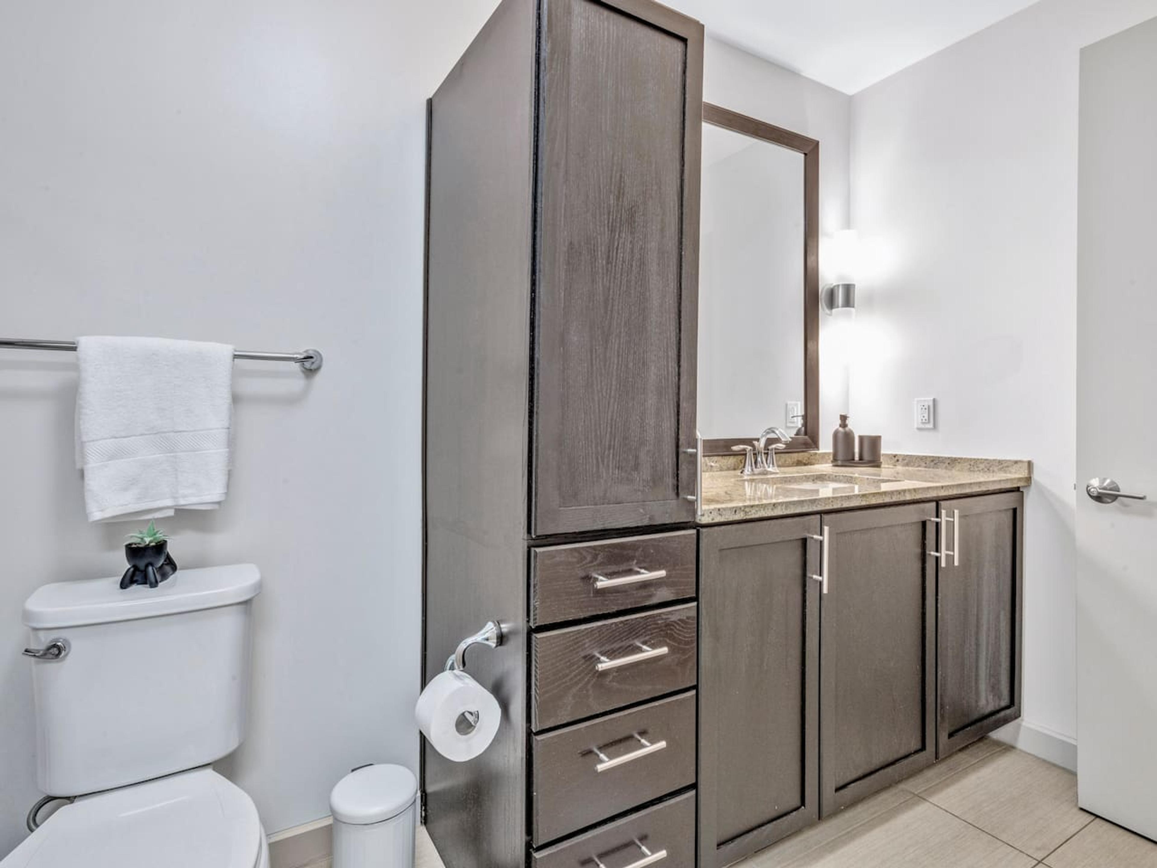 Bathroom with bathtub, toilet , vanity , big mirror, fresh towels , consumables include shampoo, conditioner, body wash, hair dryer.