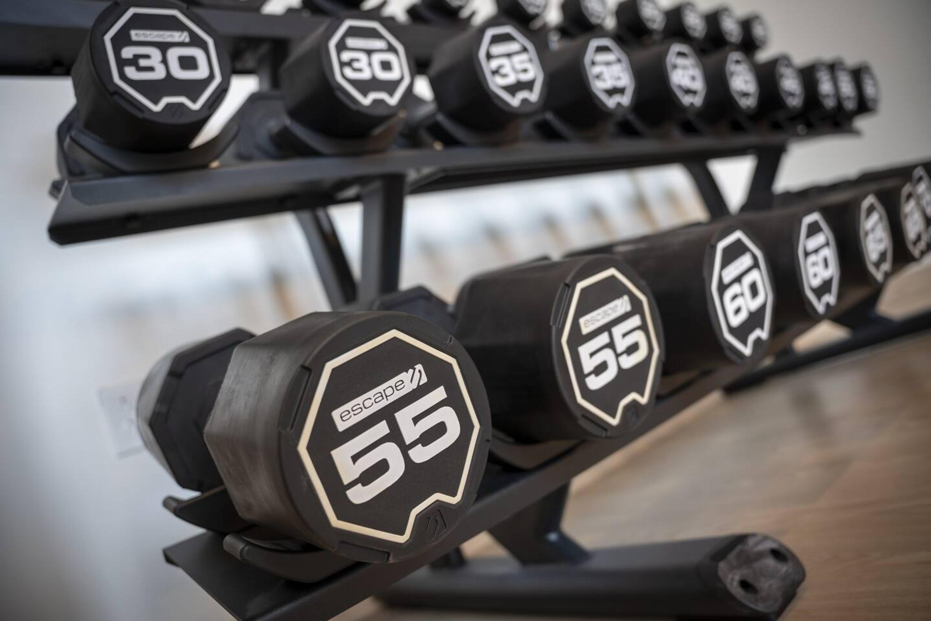 Wide Assortment of Dumbbells