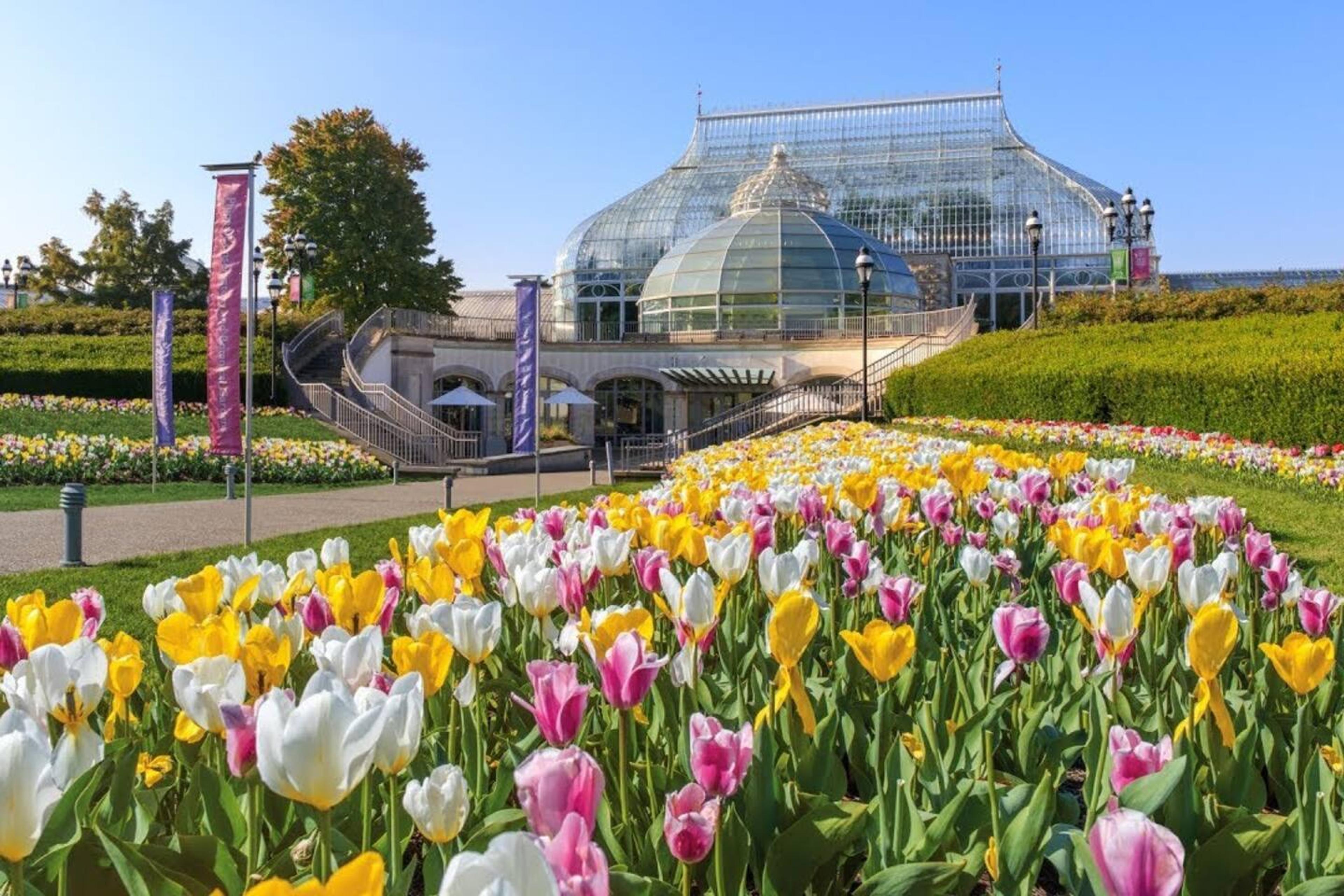 Phipps Conservatory and Botanical Gardens
A stunning collection of plants in a Victorian glasshouse, with seasonal floral displays.
3.5 miles (12 min by car)