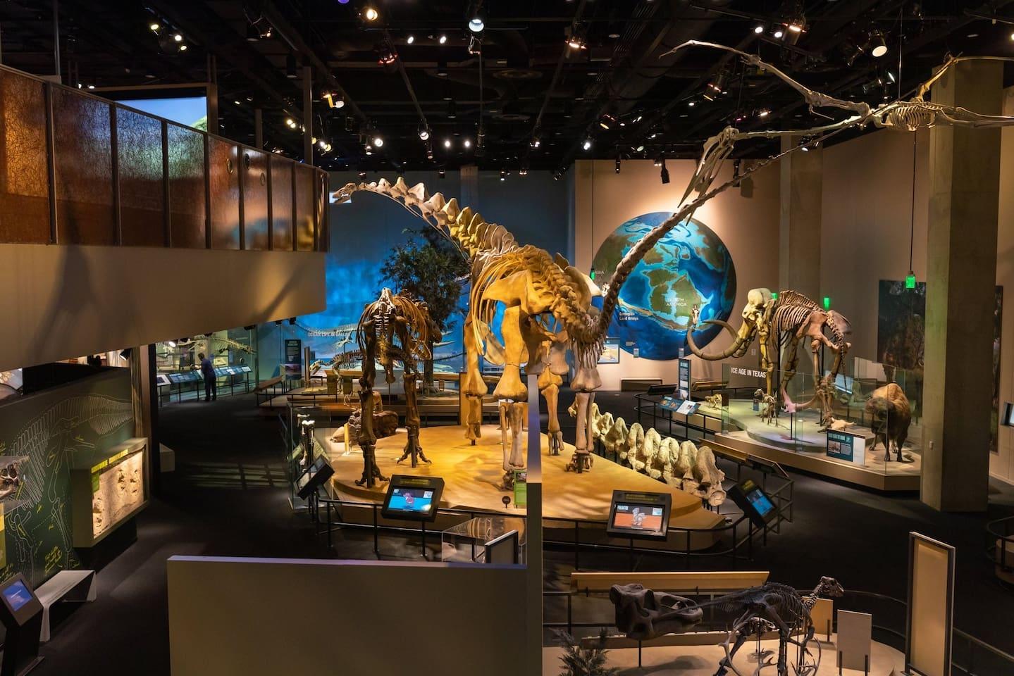 A family-friendly museum that showcases exhibits on everything from dinosaurs to space exploration and technology. 1.4 miles (28 min by walk, 5 min by car)