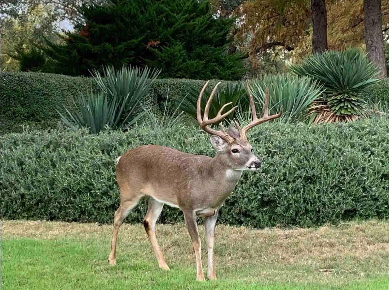 Austin-Largo-3210 — photo 23