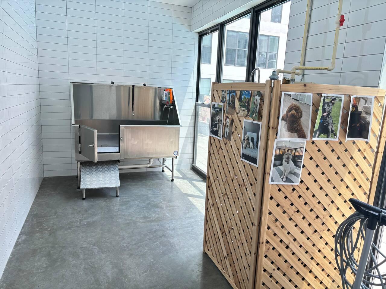 Pet shower area