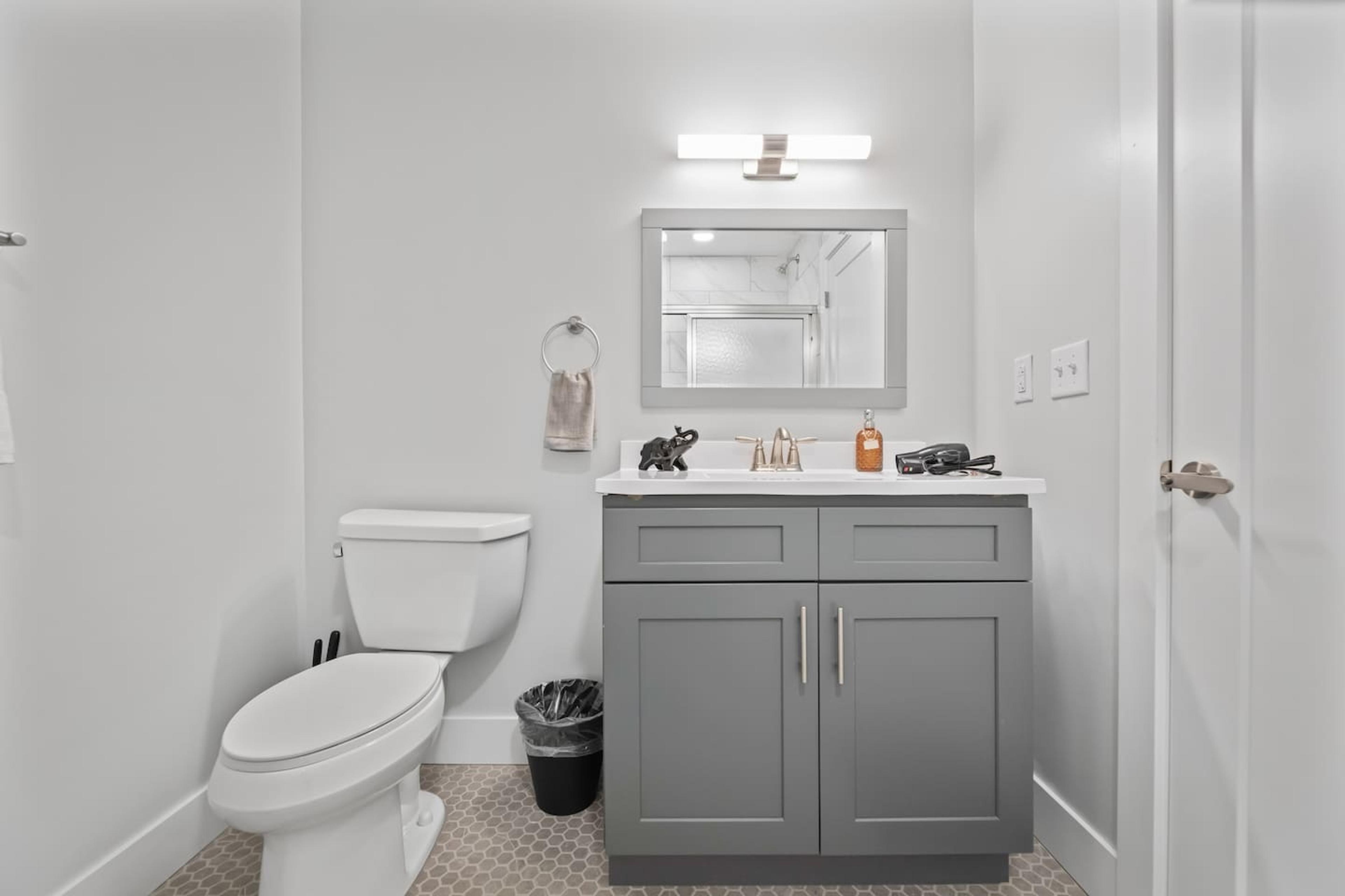 Bathroom : Toilet and vanity 
( Includes hair dryer, hand soap hand towel etc.,