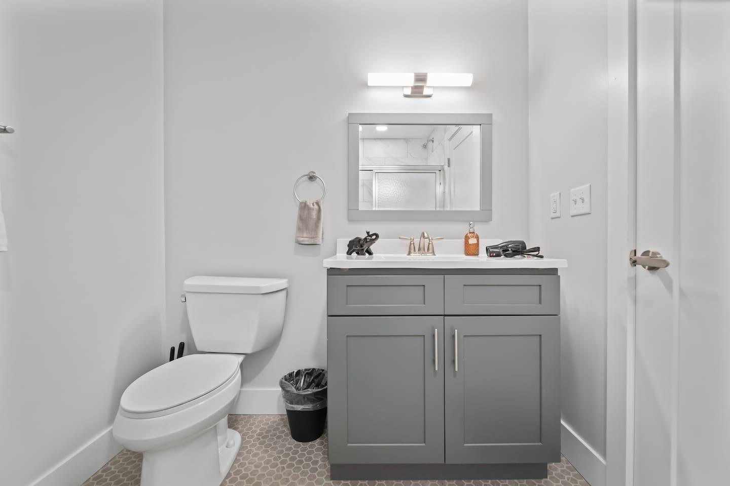 Bathroom : Toilet and vanity
( Includes hair dryer, hand soap hand towel etc.,