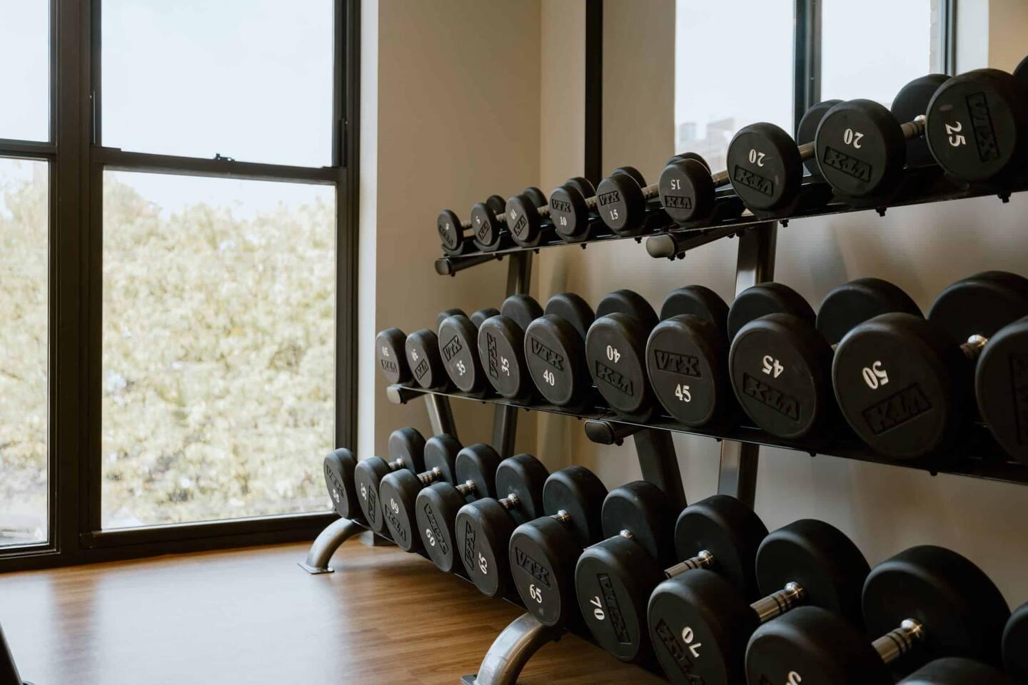 Common area : Gym equipment