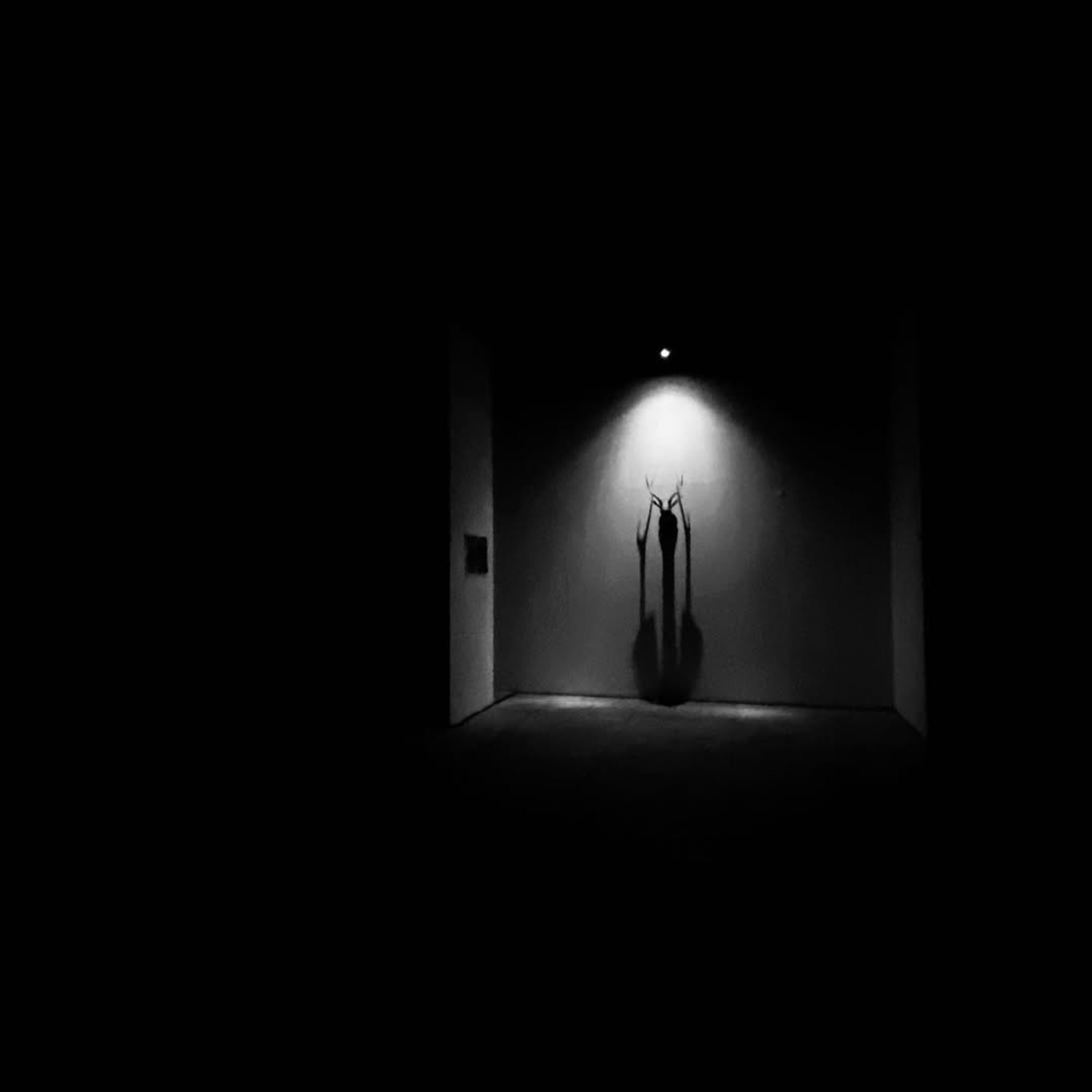 Lempad: Darkness Is White
