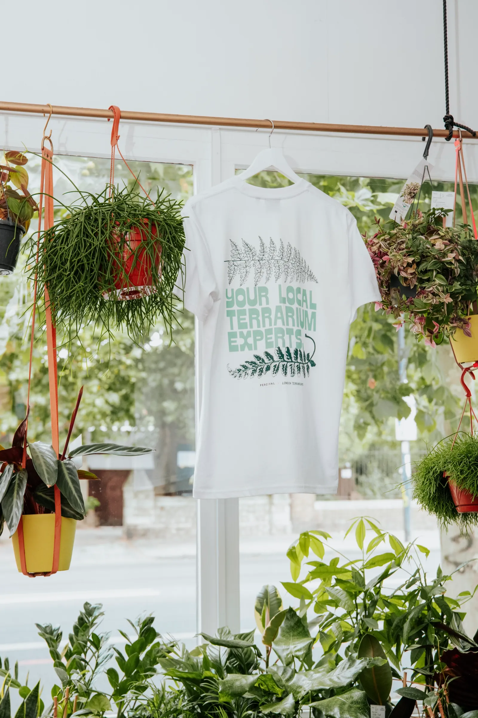 Percival — Clothing & Window (image 5)