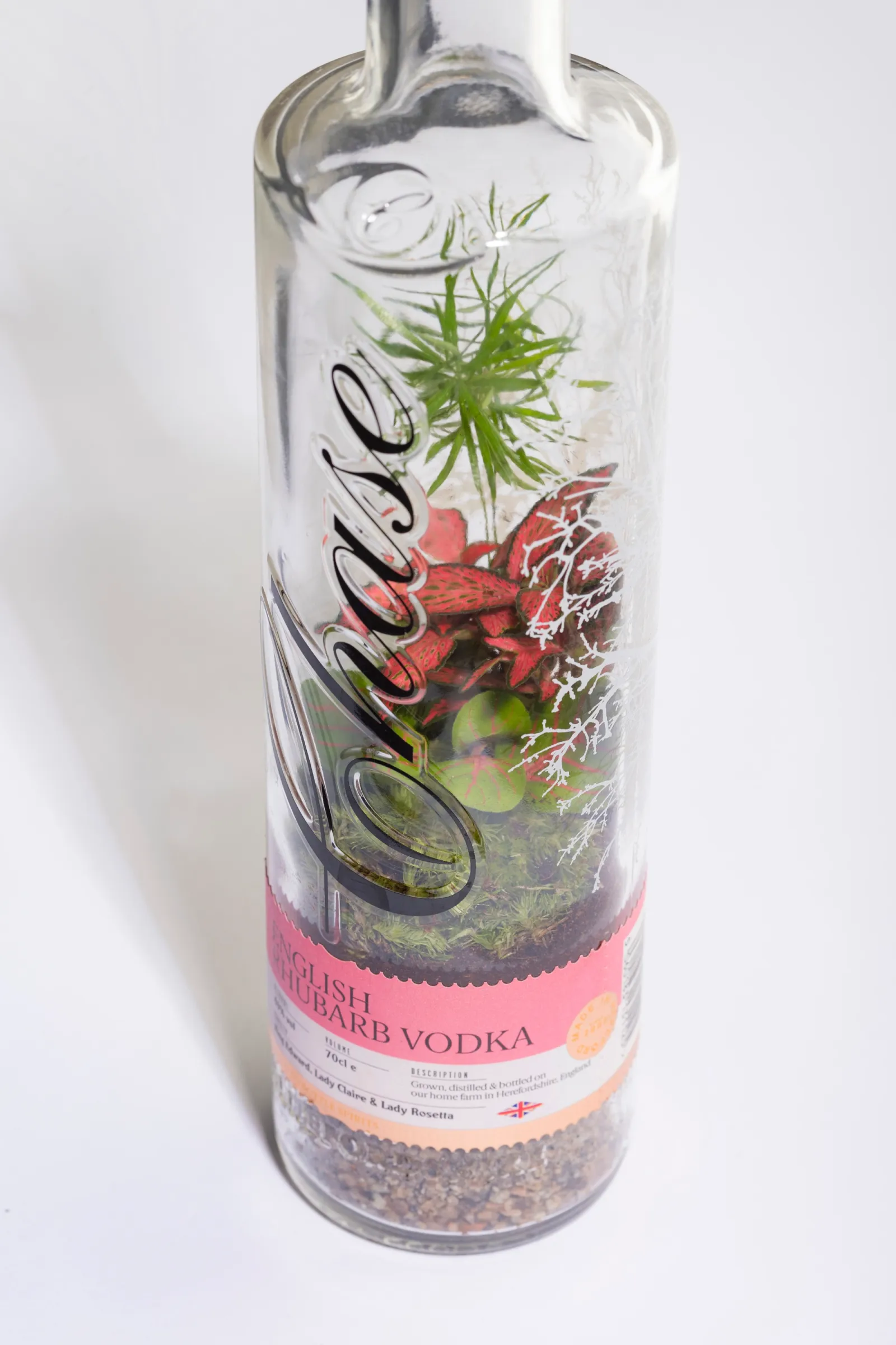 Chase Distillery — Terrarium Workshop (image 2)