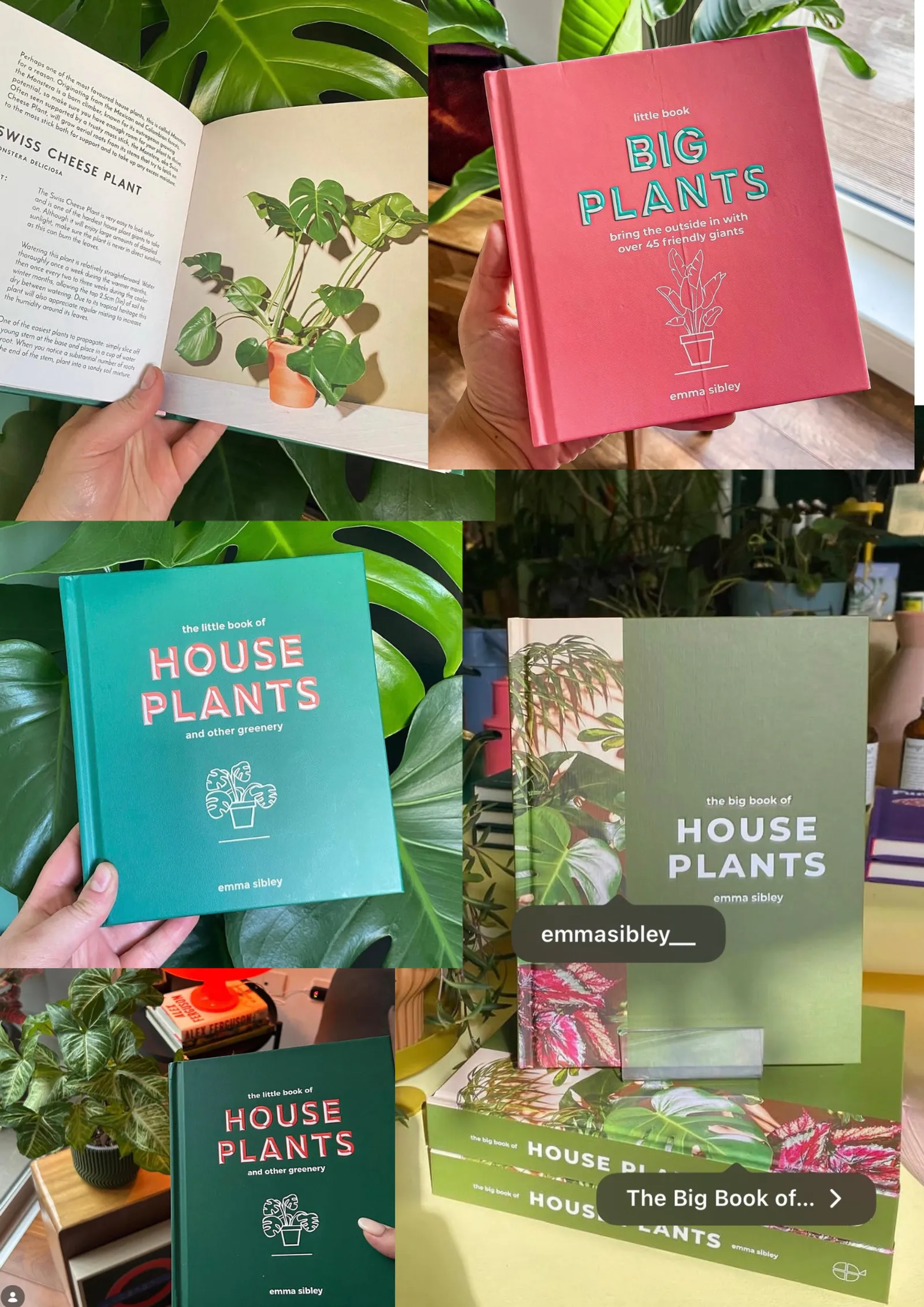Emma Sibley's books: Little Book, Big Plants, The Little Book of House Plants and The Big Book of House Plants