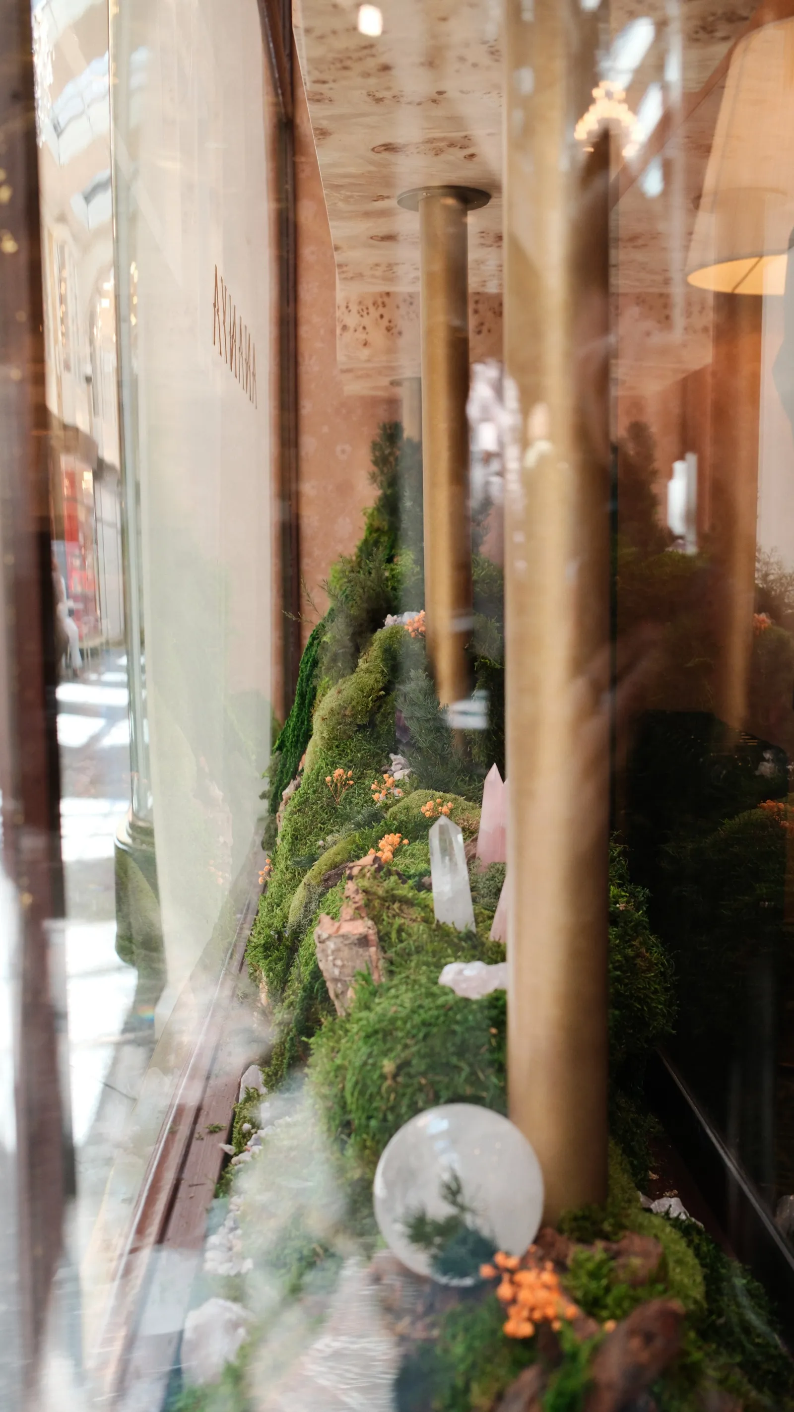 Ananya — Window Design (image 6)