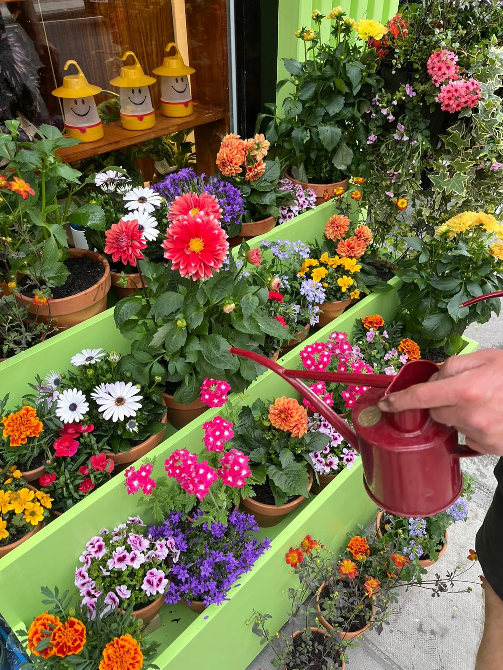 Anya Hindmarch — Garden Centre