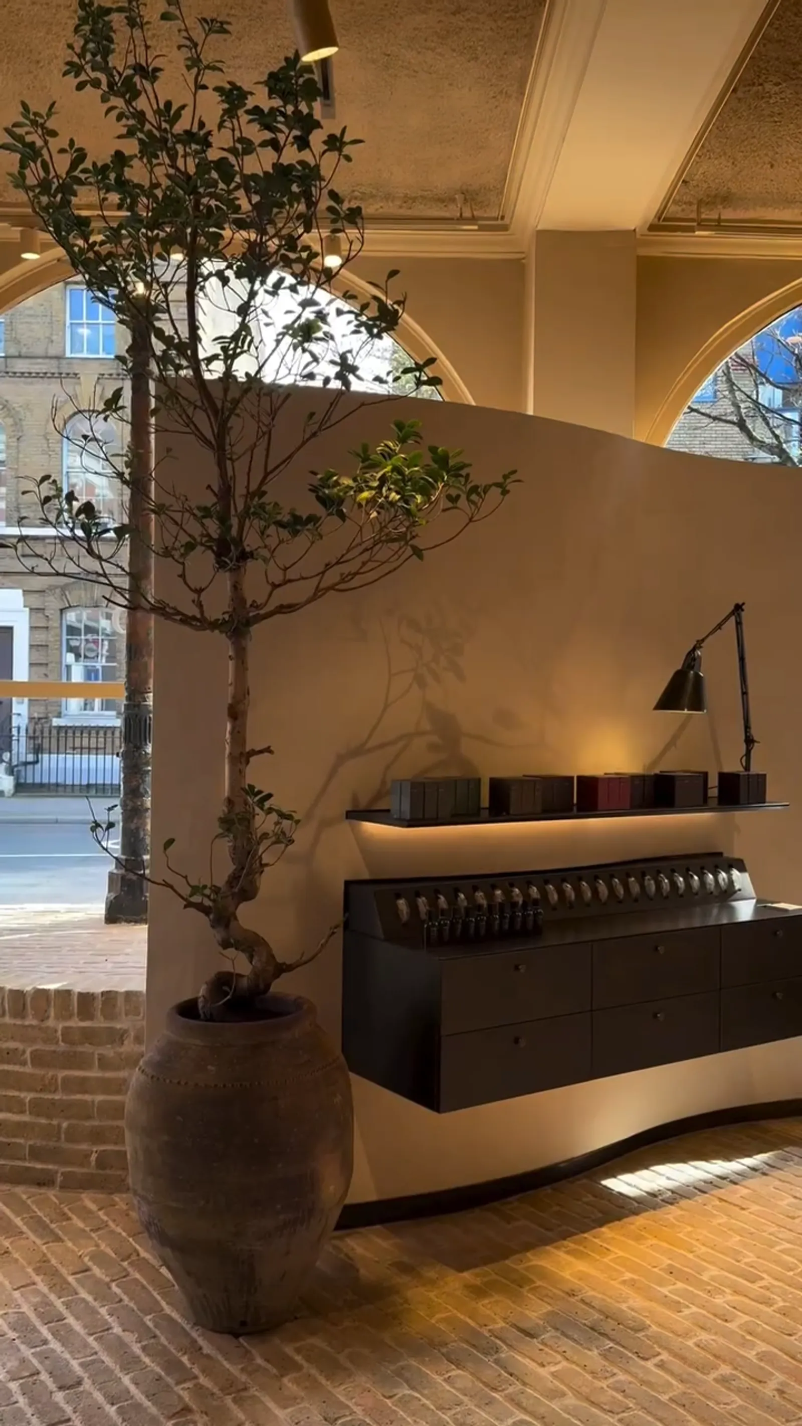 Aesop — Plant Design (image 5)
