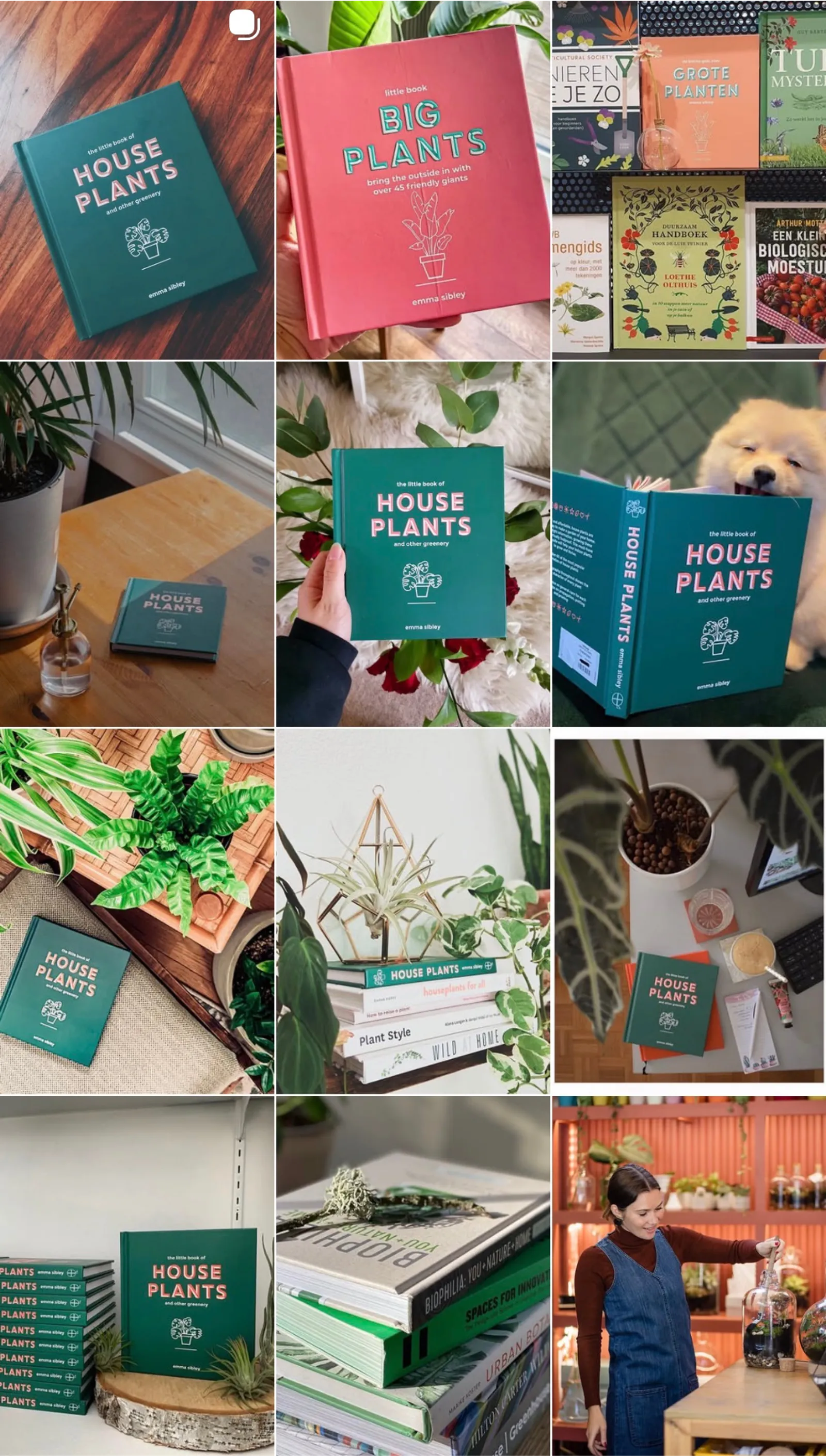 Grid of reader photos of The Little Book of House Plants and Little Book, Big Plants in homes and shops