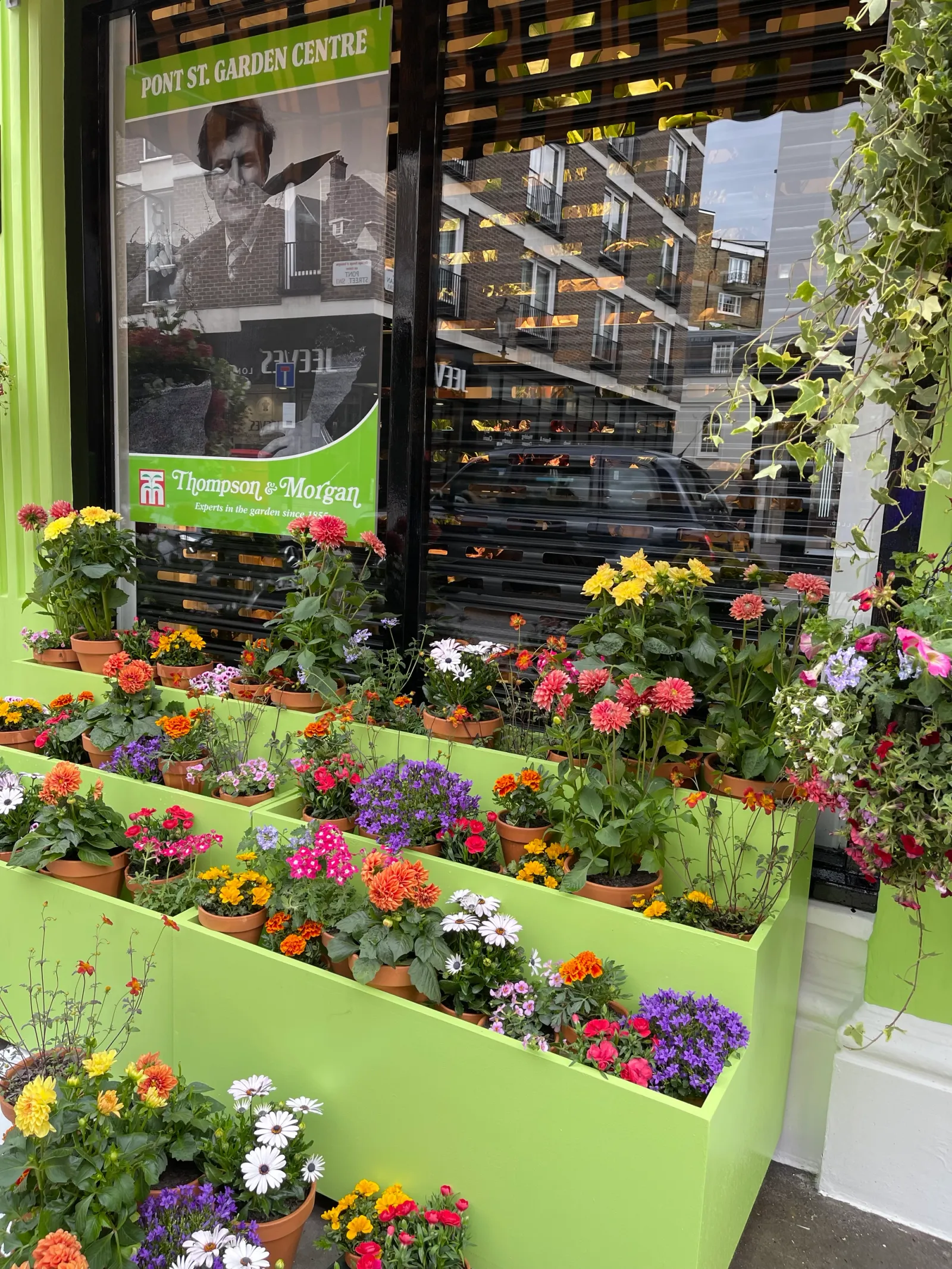 Anya Hindmarch — Garden Centre (image 2)