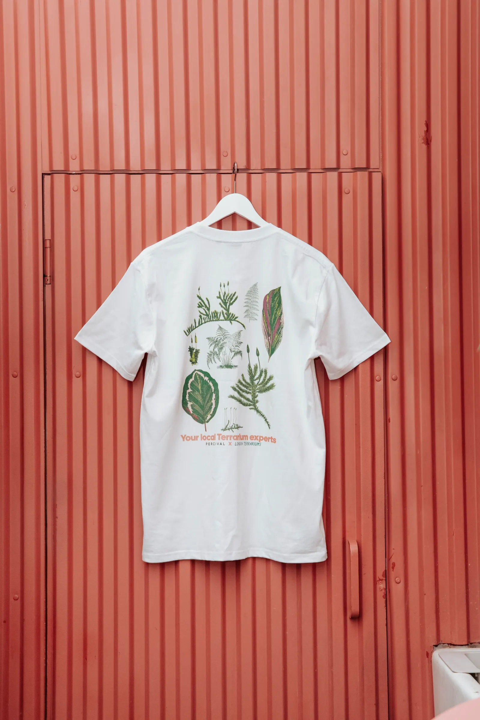 Percival — Clothing & Window