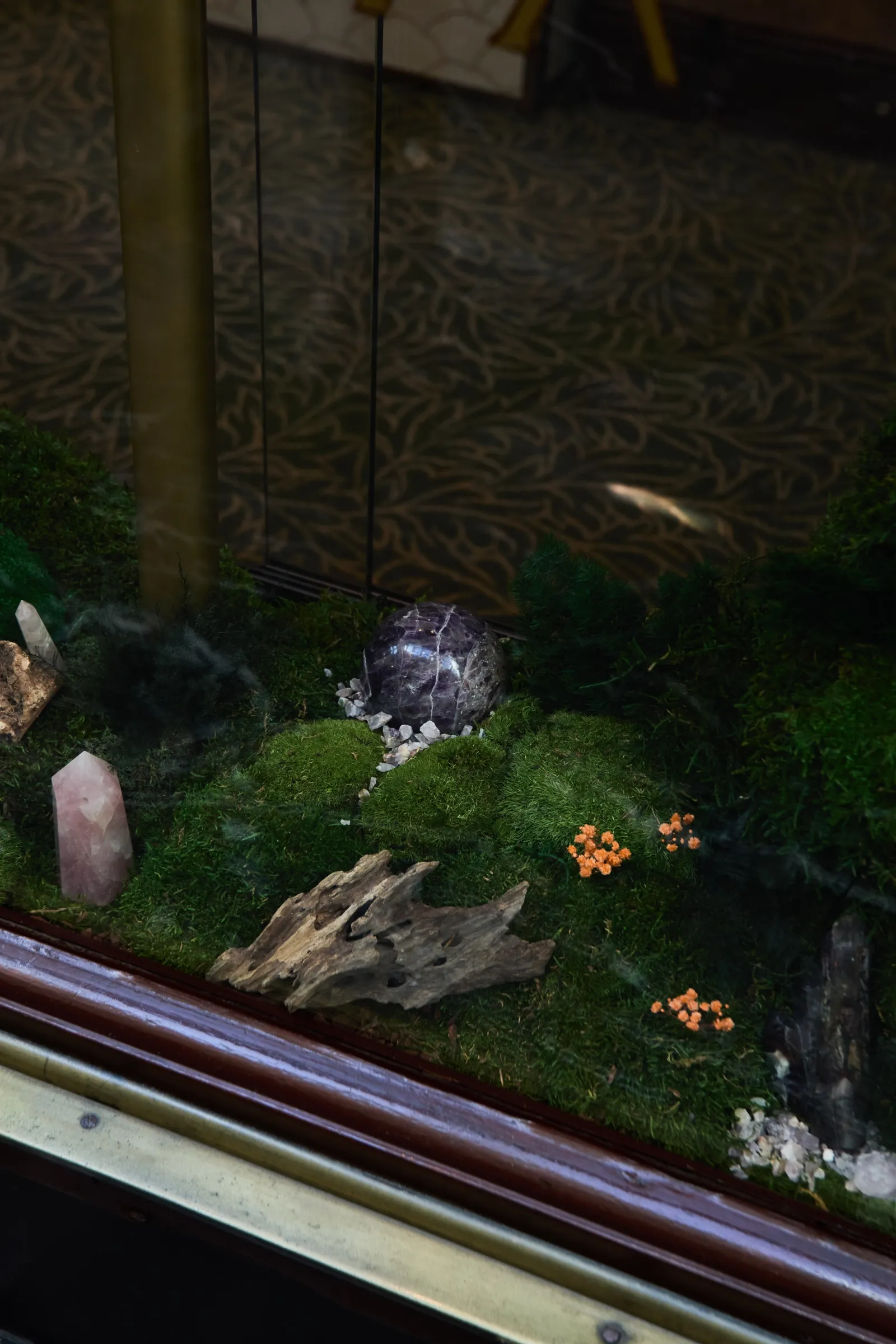 Ananya — Window Design (image 9)