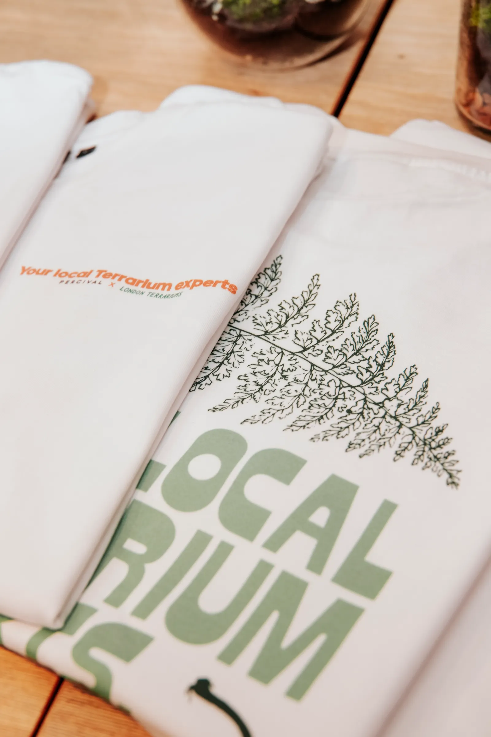 Percival — Clothing & Window (image 4)