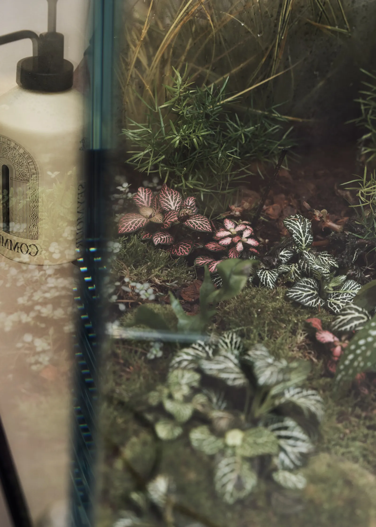 Commune — In-Store Greenery (image 5)