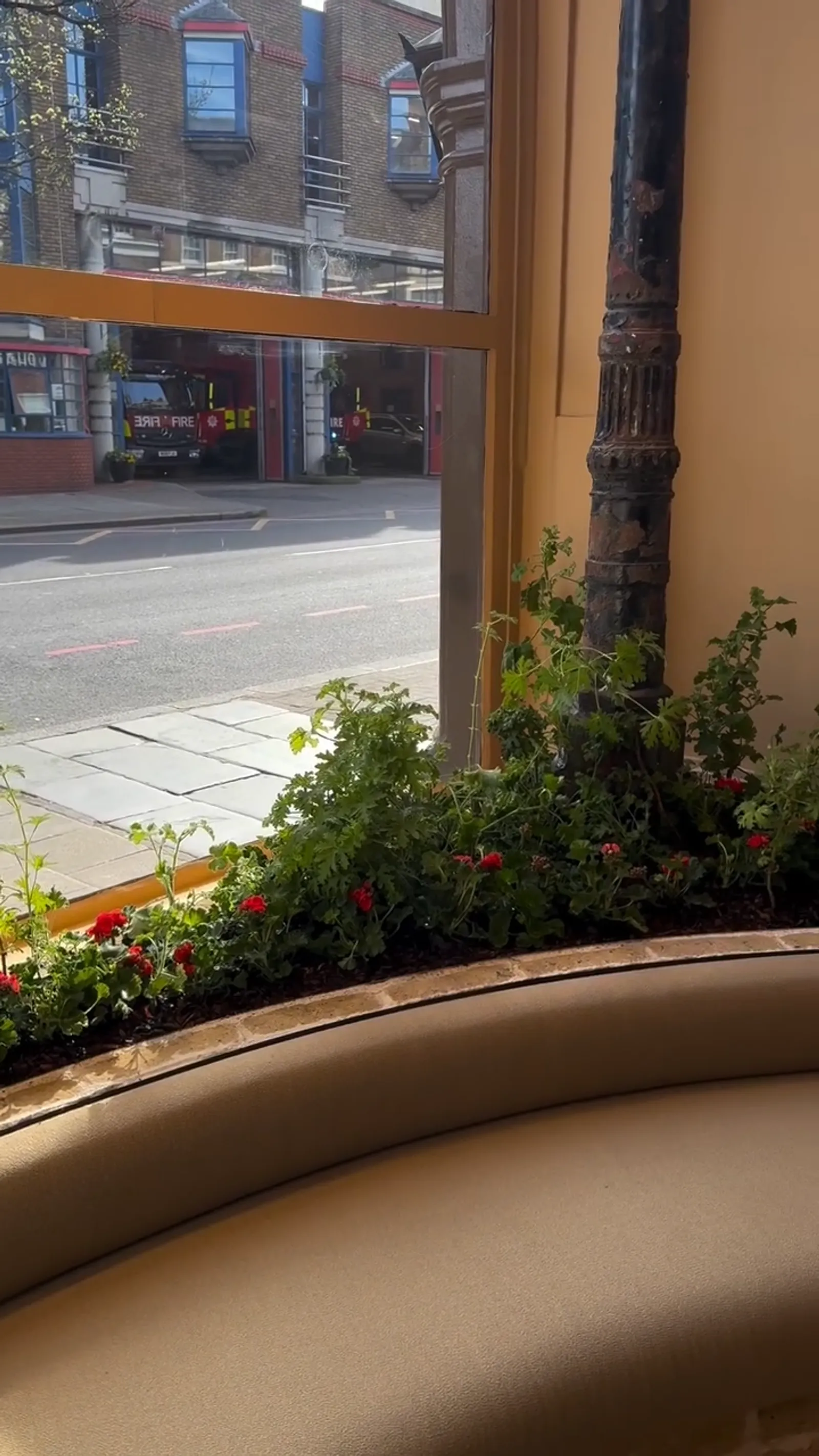 Aesop — Plant Design (image 4)