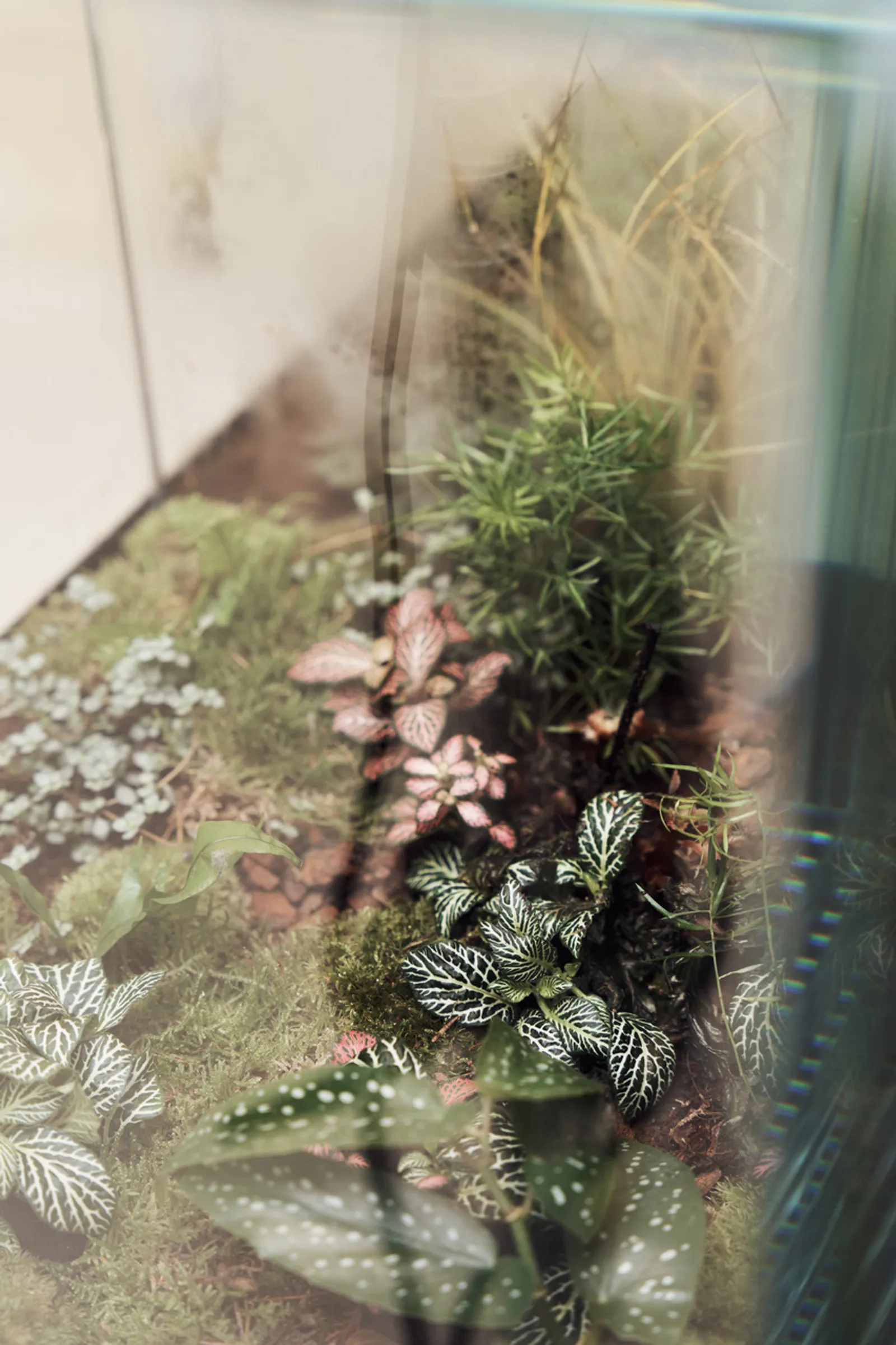 Commune — In-Store Greenery (image 4)