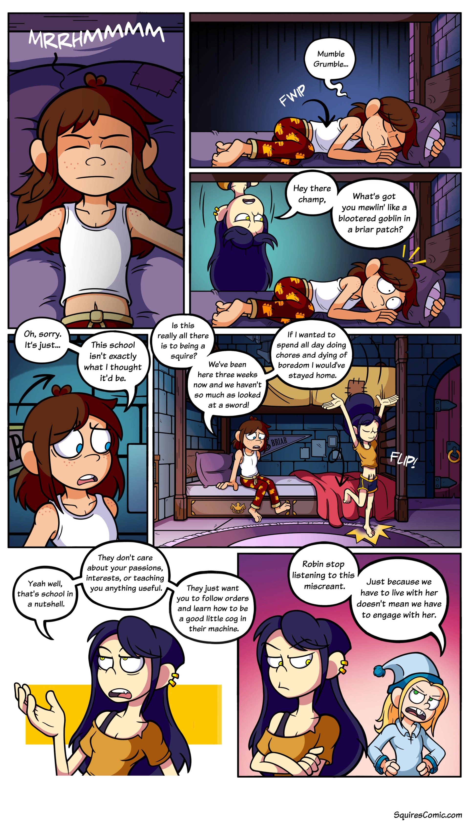 Page 2.5 - Chapter 2 Page 5